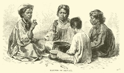 Hawaii Yerlileri by English School
