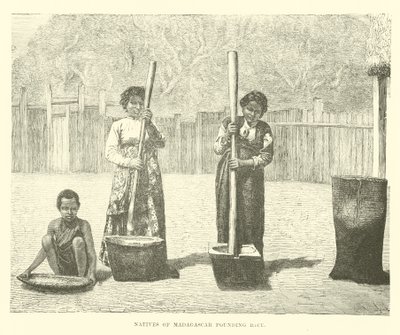 Madagaskar yerlileri pirinç dövüyor by English School