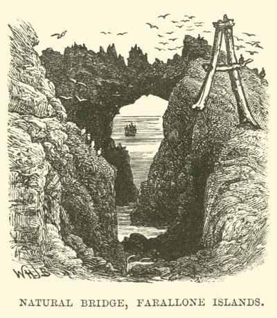 Doğal Köprü, Farallon Adaları by English School