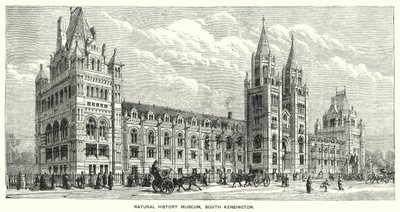 Doğal Tarih Müzesi, Güney Kensington (gravür) by English School