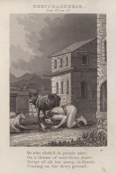 Nebukadnezar, Daniel VI, ver 32 (gravür) by English School