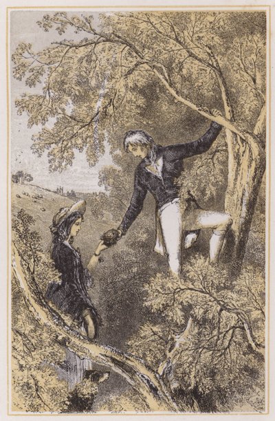Nelson kuşlarının karısıyla yuvalaması (renkli gravür) by English School