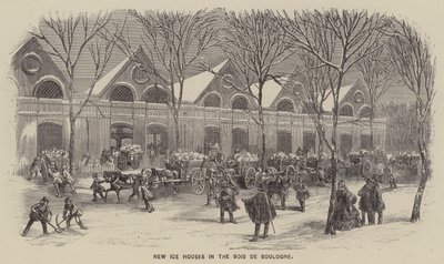 Bois de Boulogne