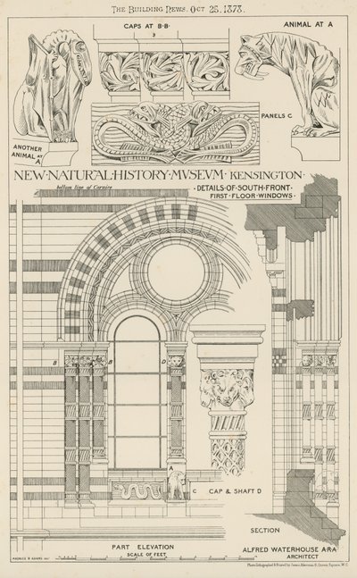 Yeni Doğa Tarihi Müzesi, South Kensington, Londra by English School
