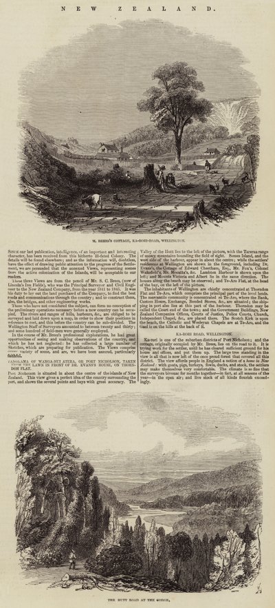 Yeni Zelanda (gravür) by English School