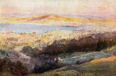 Yeni Zelanda: Wellington (renkli lito) by English School