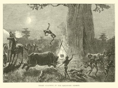 Kalahari Çölü
