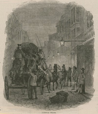 Norfolk Antrenörü by English School
