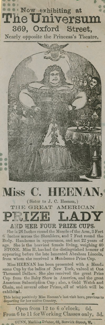 Şimdi The Universum