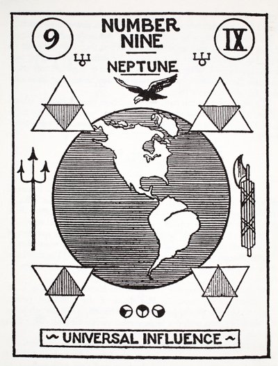 Dokuz Numara, Neptün by English School