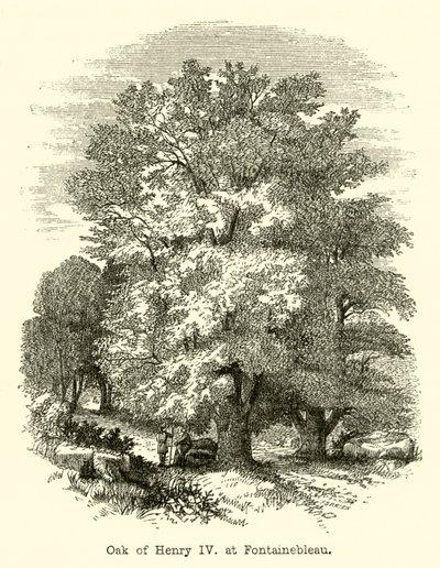 Fontainebleau