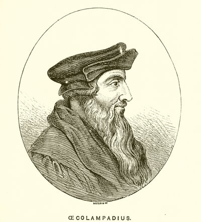 ökolampadius by English School