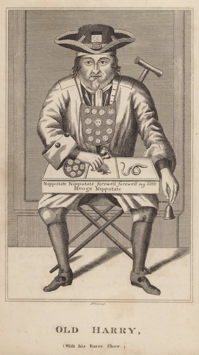 Nadir Gösterisi ile Yaşlı Harry by English School