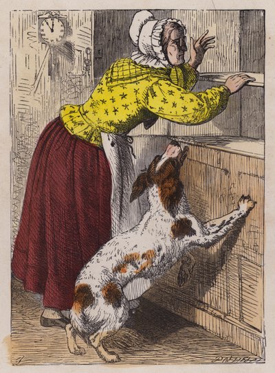 Yaşlı Anne Hubbard (renkli gravür) by English School