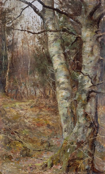 Eski Warren, Bryanston by English School