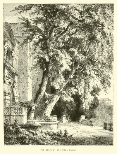 Villa dEste