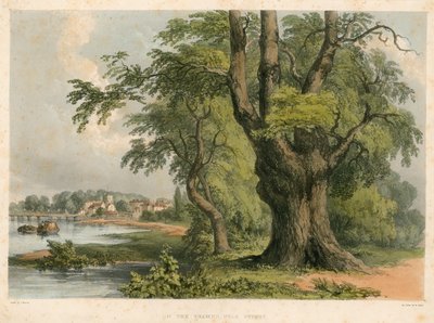Thames Nehri üzerinde, Putney, Londra yakınlarında by English School