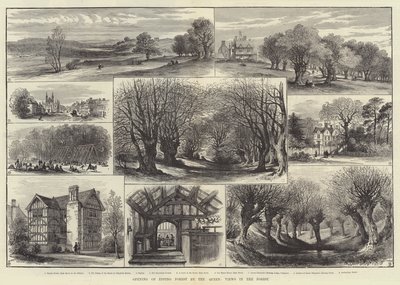 Epping Ormanı