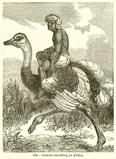 Afrika