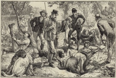 Kuzeyde su samuru avı by English School