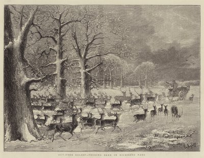 Açık Rölyef, Richmond Park