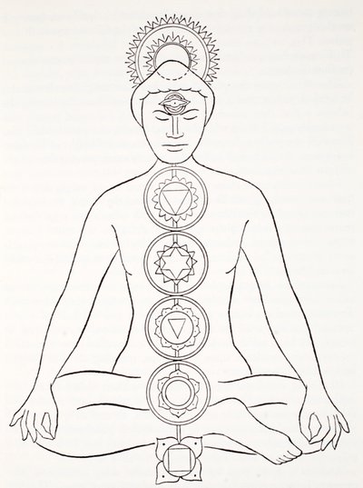 Padmasana veya lotus pozisyonu by English School