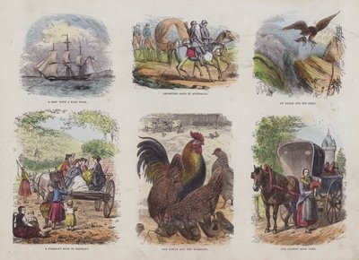 Çekici Resimli Kitaptan Sayfa (renkli gravür) by English School