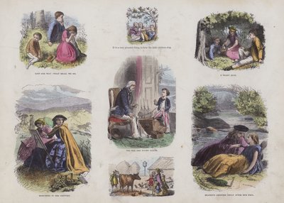 Çekici Resimli Kitaptan Sayfa (renkli gravür) by English School