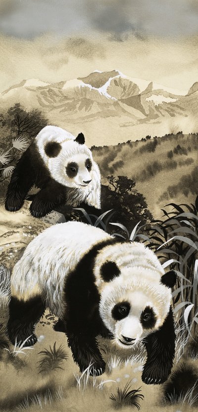 Pandalar by English School