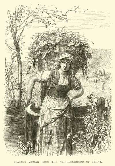 Trent mahallesinden köylü kadın by English School