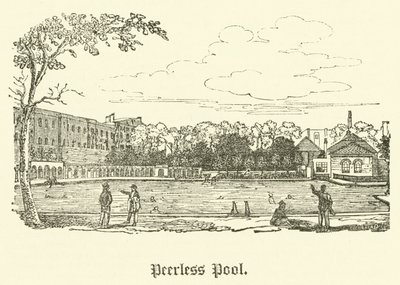 Eşsiz Havuz (gravür) by English School