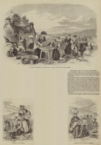 Penclawdd ve Cockle Toplayıcıları (gravür) by English School