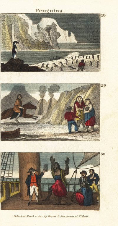 Güney Amerika