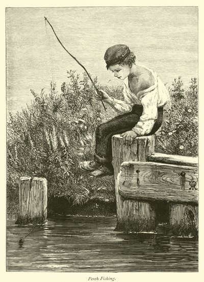 levrek balıkçılığı by English School