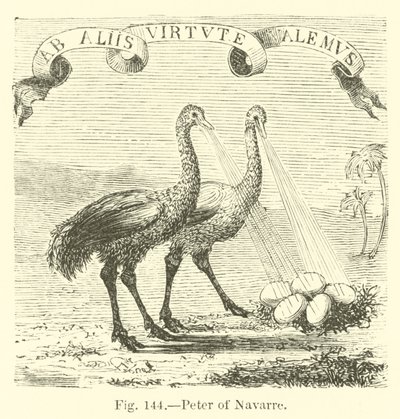 Navarre
