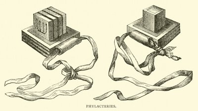 Flakteriler by English School