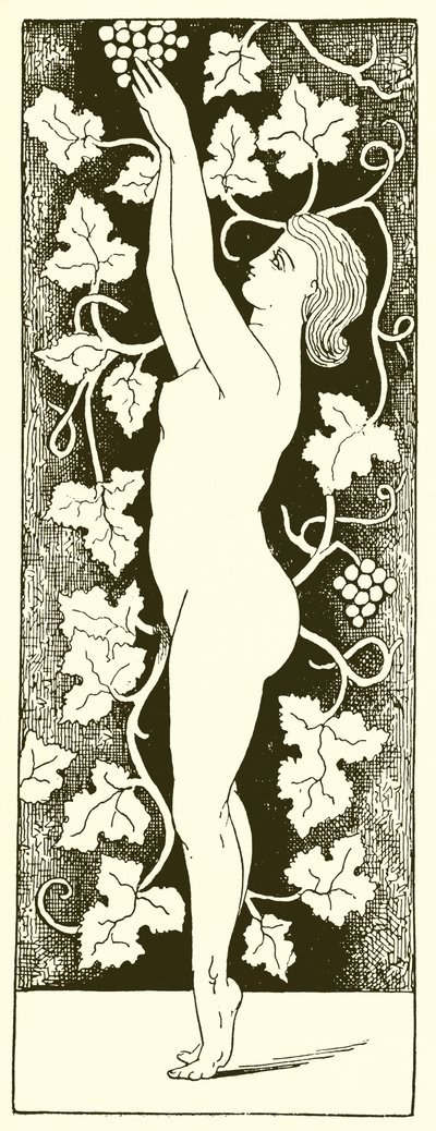 Üzüm Toplama by English School