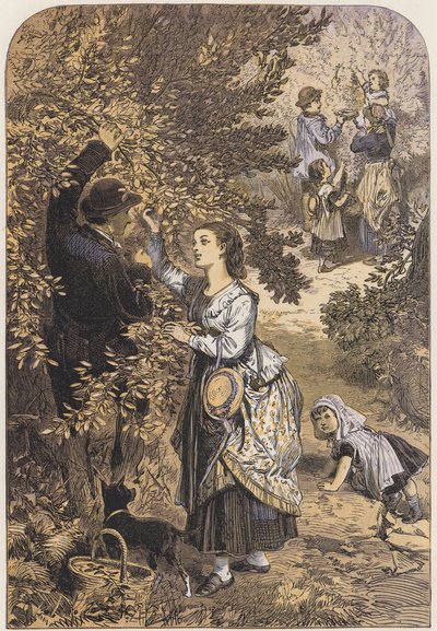Fındık toplama (renkli taş) by English School