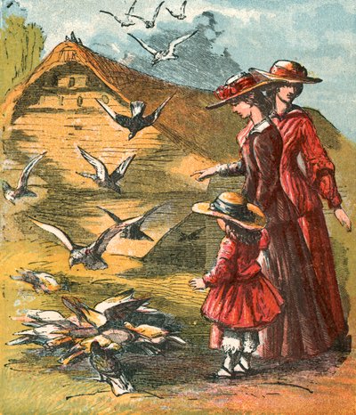 Mısır yemeye gelen güvercinler by English School