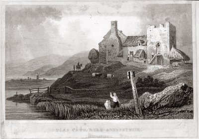 Plas Crug, Aberystwyth, Cardiganshire yakınında (gravür) by English School