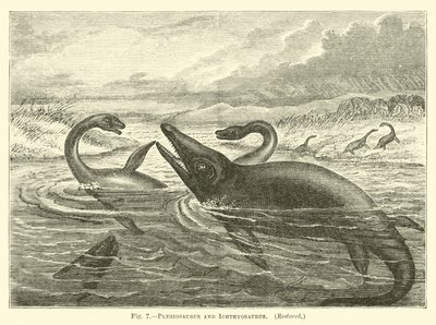 Plesiosaurus ve Ichthyosaurus by English School