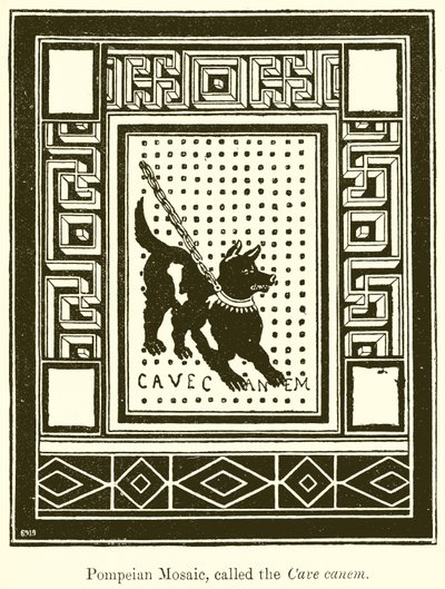 Mağara Canem olarak adlandırılan Pompeius Mozaiği by English School