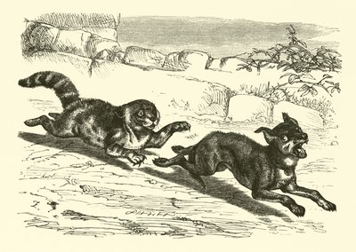 Zavallı Köpek Parlak by English School