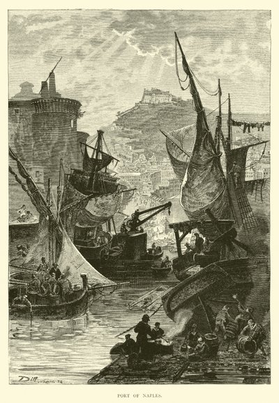Napoli Limanı by English School