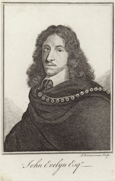 John Evelyn