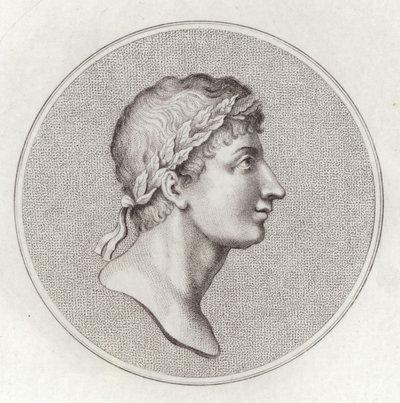 Ovid