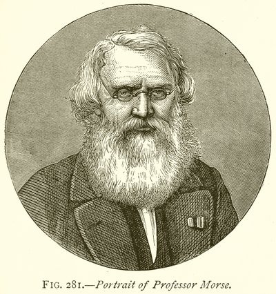 Profesör Morse