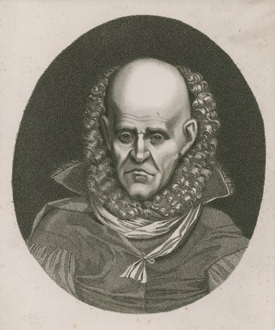 Bir delinin portresi by English School