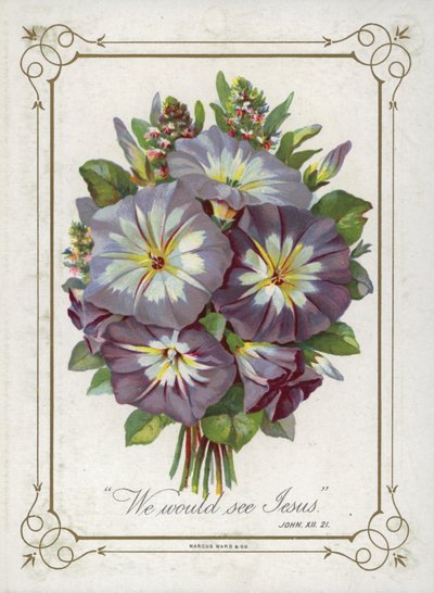 Vecize çiçek by English School
