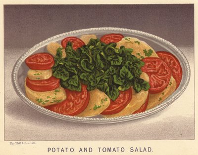 Patates ve Domates Salatası (renkli taş baskı) by English School
